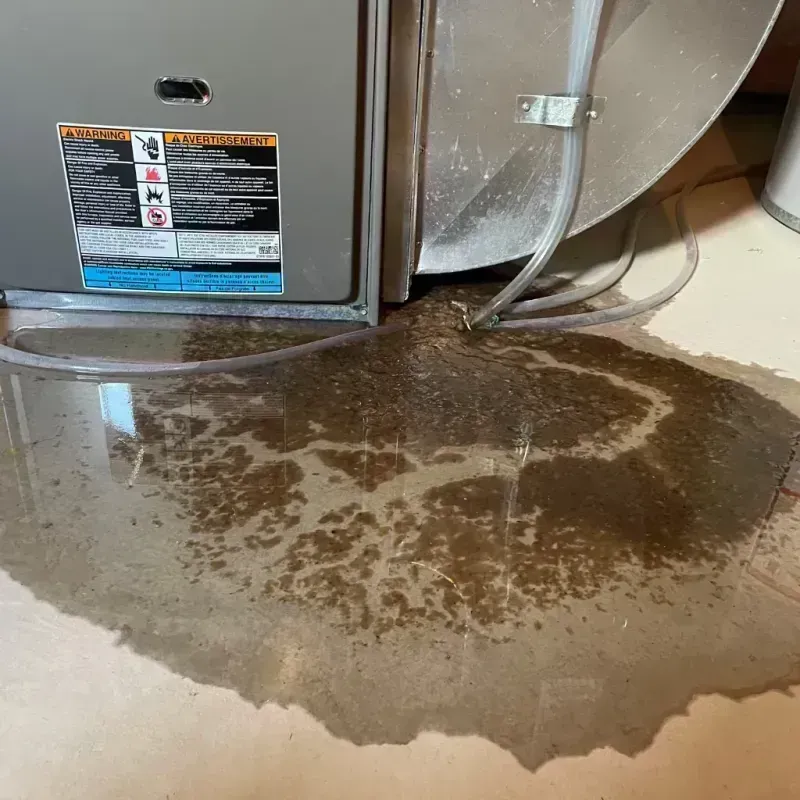 Appliance Leak Cleanup in Shelbina, MO